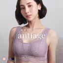 【送料無料】 antiage 次世代補整 ナイトブラ ノンワイヤー ブラジャー 夜用ブラ 大きいサイズ レース M L LL 単品 アンテアージュ レディース 全4色 M-LL