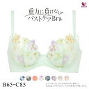 【20 OFF お買い物マラソン】ワコール Wacoal 重力に負けないバストケアブラ BRB414 ブラジャー BC 単品 レディース 全8色 B65-C85 ev_sp