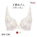 40%OFF トリンプ Triumph TR582-2 天使のブラ スリムライン ブラジャー BC 単品 レディース 全2色 B70-C80