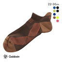 10%OFF ゴールドウイン Goldwin シースリーフィット C3fit アーチサポート ショート丈 ソックス ユニセックス 22-24cm 24-26cm...
