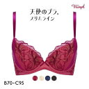 15％OFF トリンプ Triumph TR584 天使のブラ スリムライン ブラジャー BC 単品 レディース 女性 下着 ブラ ブランド かわいいブラ 花柄 谷間 寄せて上げる 人気 20代 30代 40代 50代 全4色 B70-C95