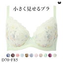 20%OFF・4 30 09:59まで ワコール Wacoal 小さく見せるブラ BRB453 3 4カップ ブラジャー DEF 単品 レディース 全5色 D70-F85 ev_sp