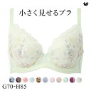 15％OFF ワコール Wacoal 小さく見せるブラ BRB453 3 4カップ ブラジャー GH 単品 レディース 全5色 G70-H85