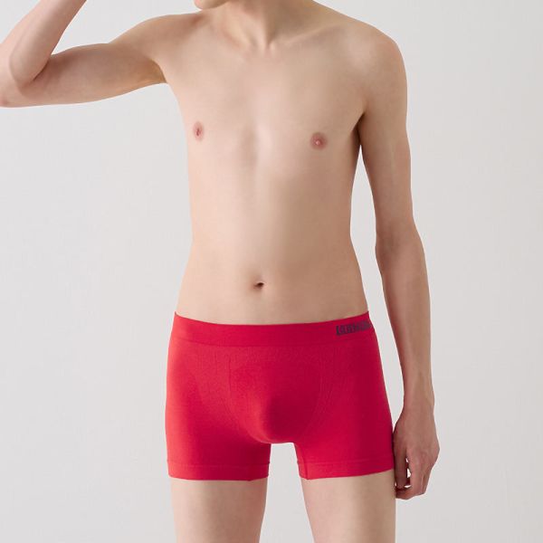 20％OFF【メール便(15)】 グンゼ GUNZE ボディワイルド BODY WILD ボクサーパンツ ...