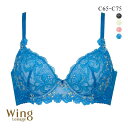 27%OFF ウイング Wing レシアージュ Lesiage 24SS 2920シリーズ ブラジャー 脇すっきり 着やせフィット C 単品 レディース 全4色 C65-C75