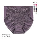 【メール便(6)】 ヒップ美人 すっきりきれい スタンダード ショーツ レース 綿混 レディース 大きいサイズ 単品 全9色 M-LL