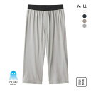 20%OFF【メール便(30)】 グンゼ GUNZE アセドロン ニーレングス インナー 前あき ひざ下丈 ボトムス メンズ 全4色 M-LL