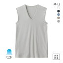 20%OFF【メール便(30)】 グンゼ GUNZE アセドロン Vネック スリーブレス シャツ ノースリーブ インナー メンズ 父の日 全5色 M-LL
