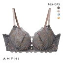 19%OFF アンフィ AMPHI グラマラス&リッチな谷間をメイクする グラマリッチブラ Glama-Rich 脇スッキリ ライトタイプ BYJ685 FG ...