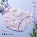 31%OFF【メール便(4)】 トリンプ Triumph TR606 天使のブラ 魔法のハリ感 ショーツ スタンダード レギュラーショーツ LL 大きいサイズ 単品 レディース 全4色