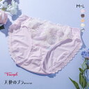 25%OFF【メール便(4)】 トリンプ Triumph TR606 天使のブラ 魔法のハリ感 ショーツ スタンダード レギュラーショーツ ML 単品 レディース 全5色 M-L