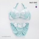 ピュアシェリ PURECHERIE ブラジャー ショーツ セット 脇高花柄チュールレース レディース 全2色 B65-M-D85-LL 下着