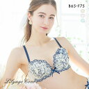 40%OFF リリアージュココ LilyageCoco ブロッサムダーリン すっきリッチブラ 谷間メイク ブラジャー BCDEF 大きいサイズ 単品 レディース 全3色 B65-F75