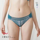 【ポイント3倍・6/25 23:59まで】28%OFF【メール便(6)】 トリンプ Triumph TR582 天使のブラ スリムライン ショーツ レギュラーショーツ スタンダード LL 大きいサイズ 単品 レディース 全2色