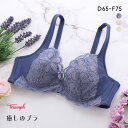 38%OFF トリンプ Triumph TR621 癒しのブラ ブラジャー DEF 大きいサイズ 単品 レディース 全3色 D65-F75