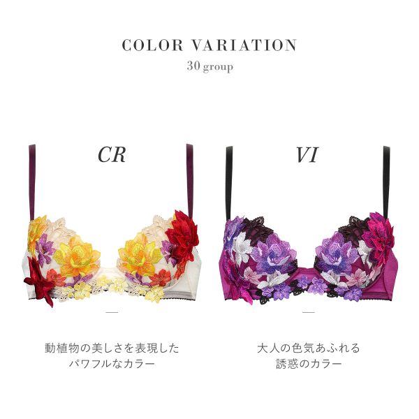 30％OFF ワコール Wacoal サルート Salute 30G P-UP ブラジャー DEF プッシュアッ...