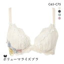 25%OFF ワコール Wacoal ボリューマライズブラ プレミアム 11series BXD711 11G ブラジャー C 単品 レディース 全4色 C65...