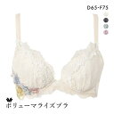 【20%OFF・5/16 09:59まで】 ワコール Wacoal ボリューマライズブラ プレミアム 11series BXD711 11G ブラジャー DEF...