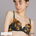 30%OFF ウンナナクール une nana cool 魔女の猫ブラ 3/4カップブラジャー 単品 ねこと魔女の世界を表現 レディース 全3色 B65-F75