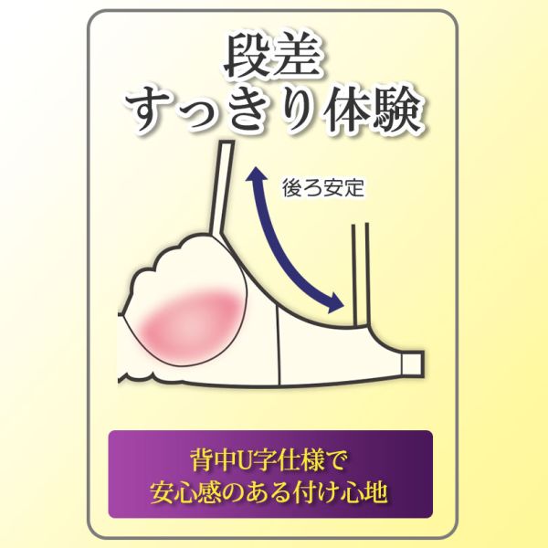 段差すっきり体験 ブラジャー ショーツ セット ABCD 脇高 脇肉 アンダー大きいサイ...
