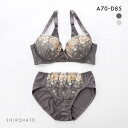 うしろ姿美 うっとり体験 フラワー刺繍 ブラジャー ショーツ セット ABCD 脇高 脇肉 アンダー大きいサイズ 背中すっきり レディース 全2色 A70-M-...