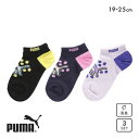 20%OFF プーマ ジュニア 3Pソックス 19-21 21-23 23-25 スニーカー丈 消臭 強くて丈夫 速乾 ドライ 靴下 キッズ 子供 スポーツ P...