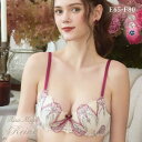 50%OFF リサマリ レーヌ シェール ブラジャー EF 谷間ブラ Risa Magli Reine レディース 全3色 E65-F80