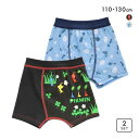10%OFF ピクミン キッズ ジュニア ボクサーブリーフ 2枚セット 男児 男の子 ボクサーパンツ PIKMIN メンズ 全2色 110-130 【メール便(...