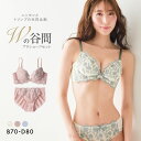 【ニッセンとトリンプ共同企画】Wでバストをあげるブラジャーショーツセット BCD レディース 全3色 B70-M-D80-L 下着