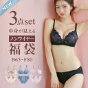 【ポイント還元5倍・7/15 23:59まで】20%OFF【送料無料】 選べる4タイプ ノンワイヤー ブラジャー ショーツ 3点セット 刺繍レース&ワントーンレース 福袋 アンダー80 下着 レディース 大きいサイズ 大きいサイズ グラマー Eカップ Fカップ ノンワイヤーブ 全4色 B65-F80