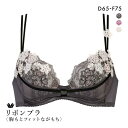 【22%OFF・5/16 09:59まで】 ワコール リボンブラ 胸もとフィットながもち 3/4カップブラジャー プレミアム DEF 09series レディー...