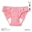 【メール便(15)】 Cuip 吸水ショーツ スリムタイプ 70cc SML サニタリー FemTech フェムテック 尿モレ 生理 おりもの キュイップ レディース 全5色 S-L