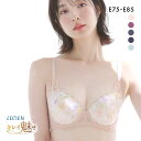 10%OFF ルシアン キレイ魅せ 脇やせメイクブラ 3/4カップ ブラジャー E 大きいサイズ 脇肉 脇高 LECIEN レディース 全5色 E75-E85