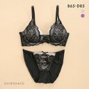 スパイシー ブラジャー ショーツ セット 編上げストレッチレース SPICY レディース 全2色 B65-M-D85-LL
