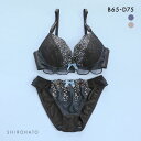 ピュアシェリ ブラジャー ショーツ セット チョウ柄チュール PURECHERIE レディース 全2色 B65-M-D75-M