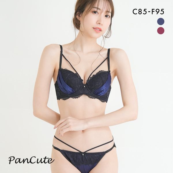 ѥ󥭥塼 쥪ѡɥƥ󥹥ȥ ֥饻å CDEF80-95 ޡ ë ƴ 礭 ֥ 硼 å ǥ  襤 鲼 ֥饸㡼 硼 岼å ѥ ¤  2 C85-LL-F95-4L