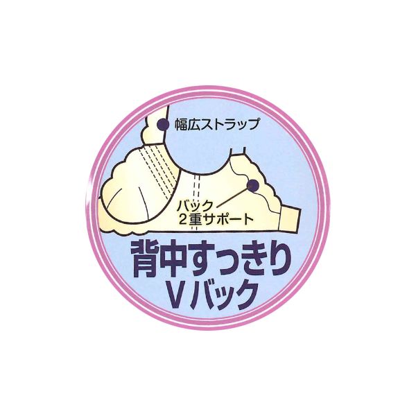 【最大1,000円クーポン・なくなり次第終了】 キレイ工房 美背中シルエット ブラジ...