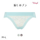 【メール便(5)】 トリンプ TR631 癒しのブラ ショーツ スタンダード レギュラーショーツ ノーマル ML Triumph ブルー グレー レディース 全2色 M-L