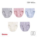 ガロー 女児 くすみカラー リブ ショーツ 5枚セット キッズ ジュニア 120 130 140 150 160 165 Garau レディース 120-165...