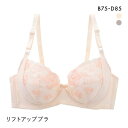 リフトアップ ソフトワイヤーブラ 3/4カップ ブラジャー レディース 全2色 B75-D85 下着