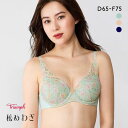 15%OFF トリンプ TR628 秘めわざ ブラジャー ソフトワイヤー DEF Triumph レディース 全3色 D65-F75