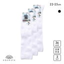 10%OFF JOSE 無地 ハイソックス 36cm丈 3足組 okamoto 632188 レディース 全2色