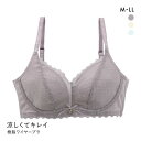 涼しくキレイ 涼感 3/4カップ 樹脂ワイヤーブラジャー レディース 全3色 M-LL 下着