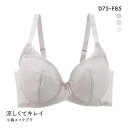 涼しくてキレイ スッキリ着やせ 小胸メイクブラ 3/4カップ ブラジャー レディース 全3色 D75-F85 下着