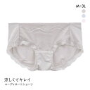 【ポイント還元3倍・7/10 23:59まで】涼しくてキレイ 小胸メイクブラ ペアショーツ レディース スタンダード ノーマル M L LL 3L 大きいサイズ 全3色 M-3L 下着 【メール便(5)】