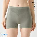 20%OFF【メール便(7)】 グンゼ 綿混 のびかたモンスター級 レギュラーショーツ GUNZE レディース 全4色