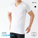 20%OFF メール便(30) グンゼ クールマジック Tシャツ Vネック メンズ GUNZE 全2色 M-LL 父の日 ギフト プレゼント 男性