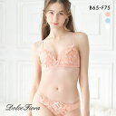 ドルチェフィオラ ブラジャー ショーツ セット フルールペティヨン BCDEF 大きいサイズ ソフトワイヤー やさしい Dolce Fiora レディース 全3色 B65-M-F75-L