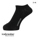 アイスブレーカー M ファインゲージ ノーショウ ソックス メンズ icebreaker S-M 【メール便(10)】