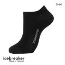 アイスブレーカー W ファインゲージ ノーショウ ソックス レディース icebreaker S-M 【メール便(10)】